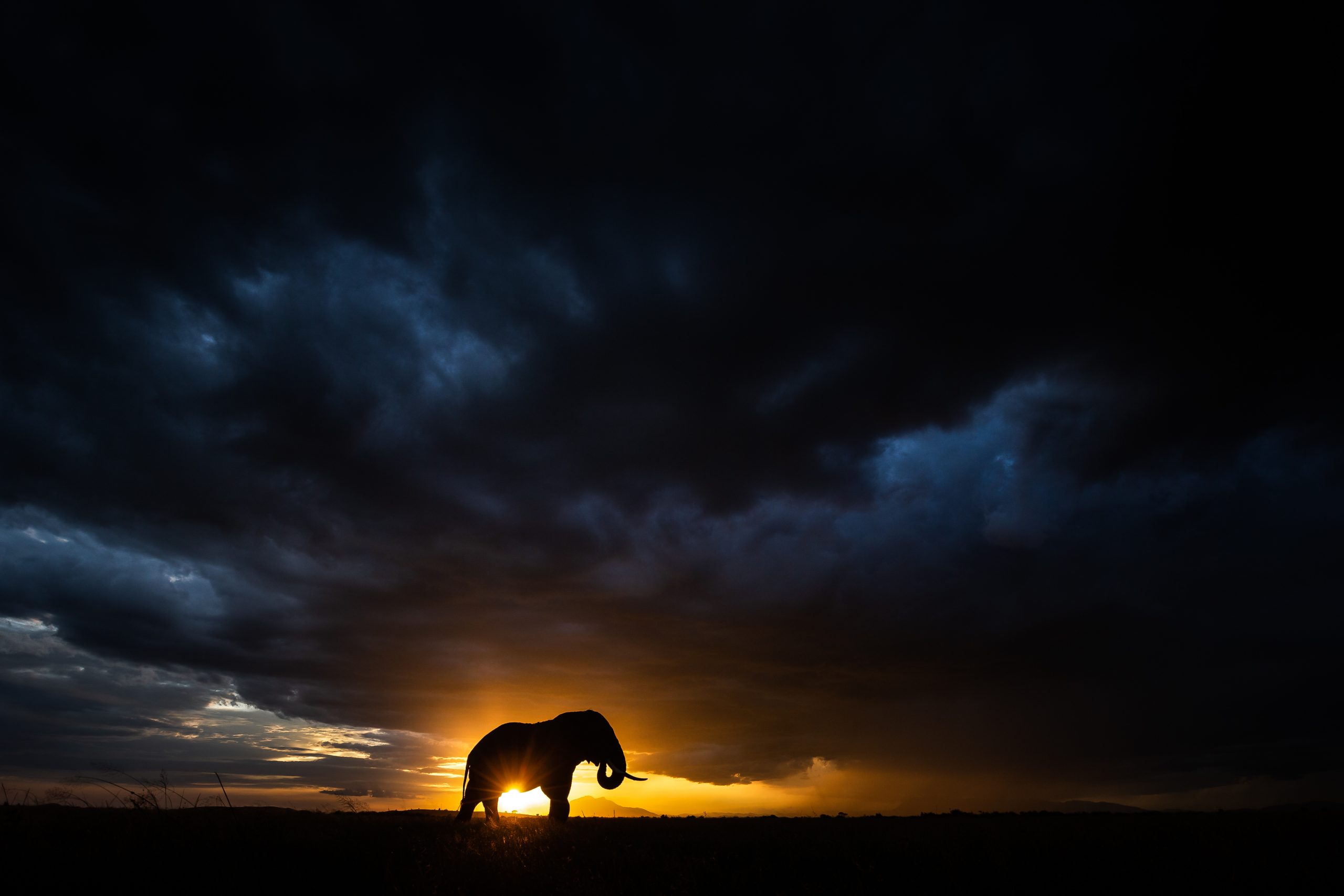 The Night Is Darkest Just Before The Dawn